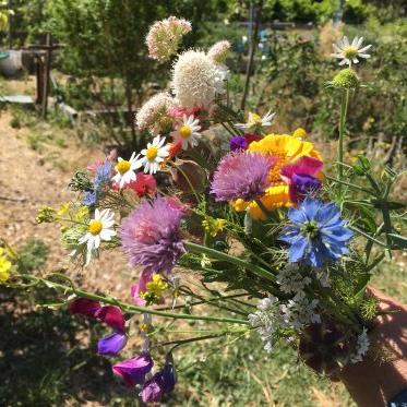 Wild flower bouquet from a garden