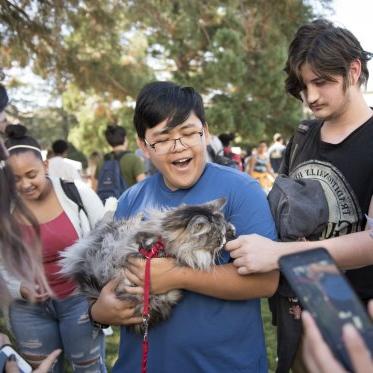 Students petting a cat on the wellness fair