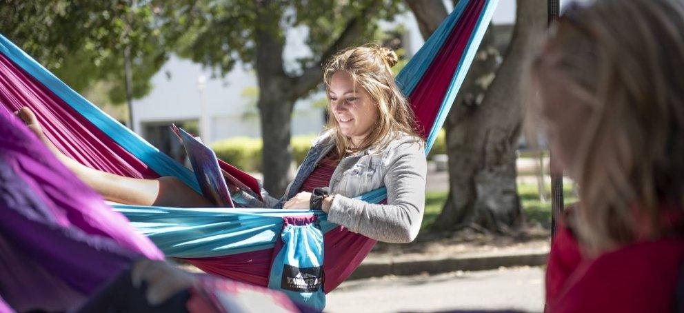 A student studying outside on a hammock