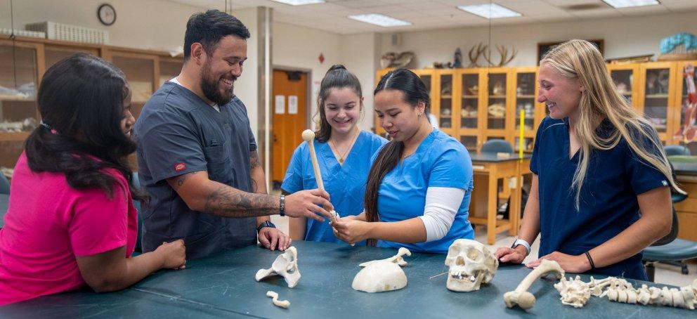 Science students studying the anatomy of bones from a skeleton