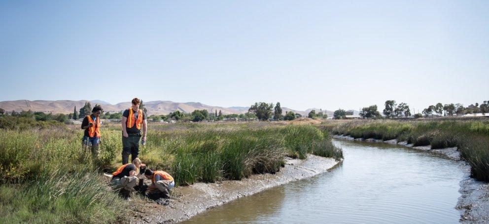 SRP Wetlands