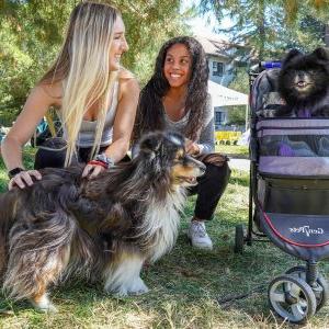 Students play with dog