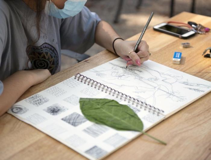 A student sketching leaf patterns