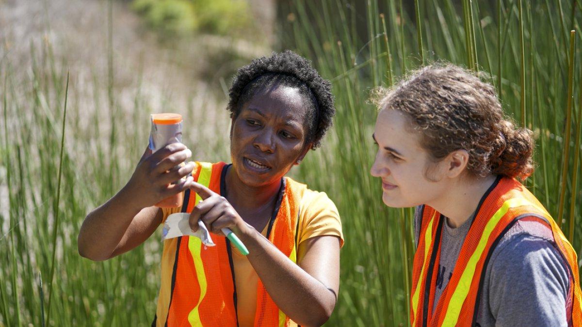 While outside, a professor and student are wearing reflective vests and looking at a test sample 