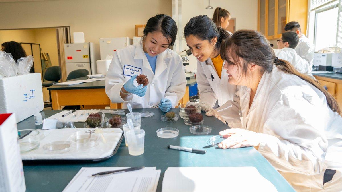 Students in the Biotech lab.