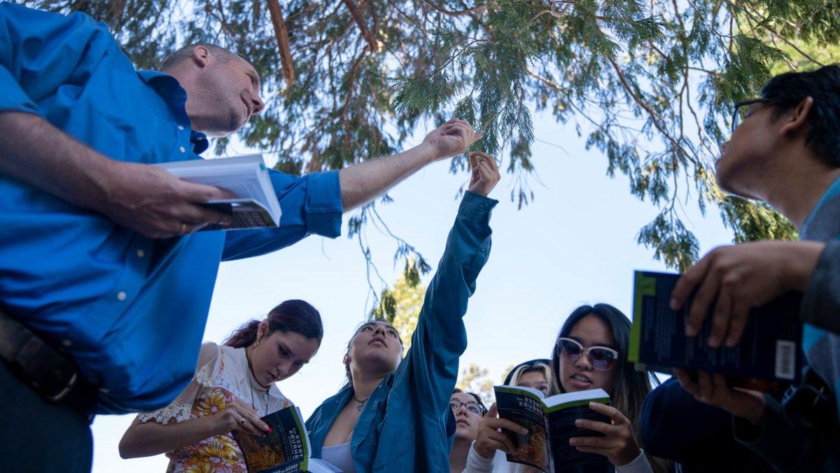 Students outside studying a tree